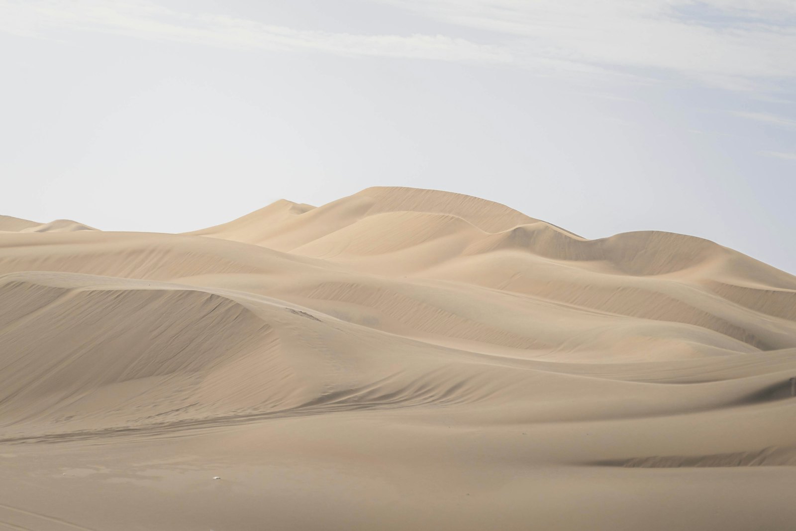 Sand dunes under a pale sky